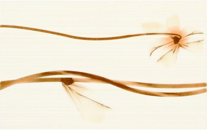 orfe-beige-decor2 orfe-beige-decor2